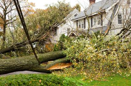 Storm damage restoration in Golden Oak by Arruda Roofing LLC